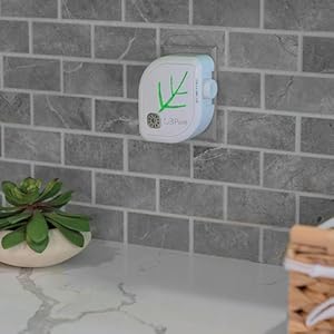 Neutralizes Kitchen Smells and Odors