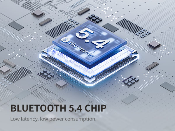 5.4 chip