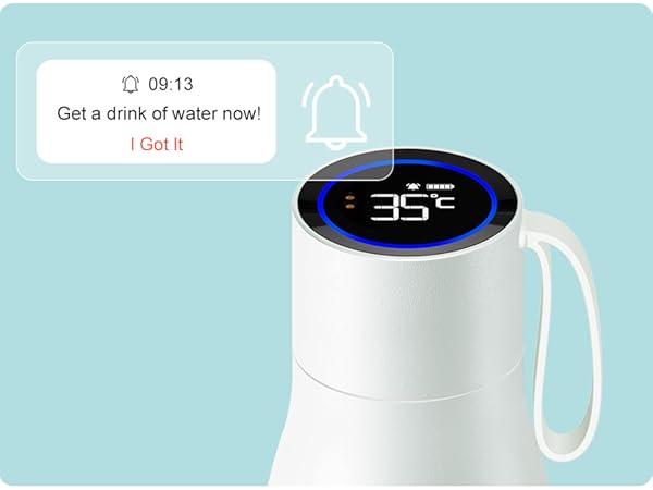 Self-Cleaning Smart Water Bottle