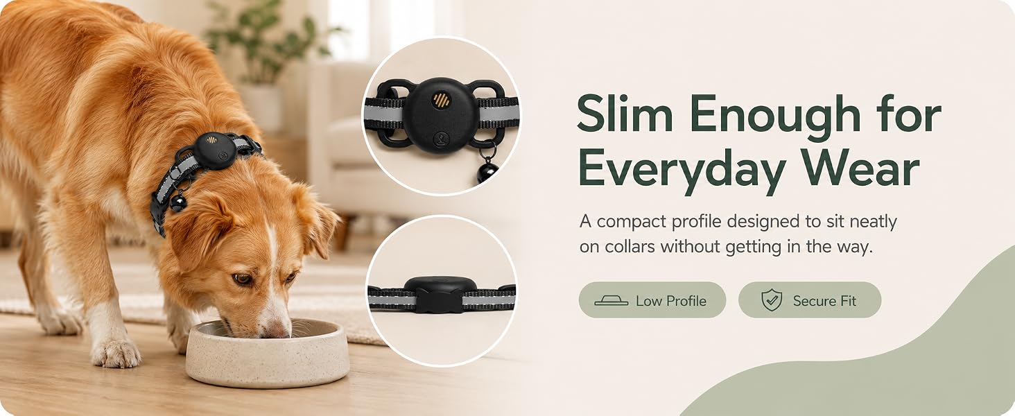 cat gps tracker