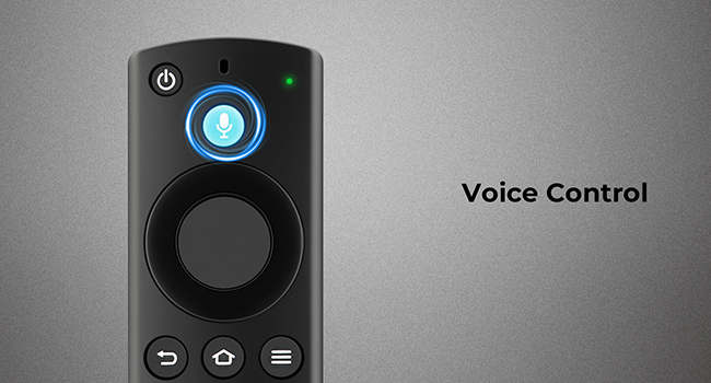 voice control