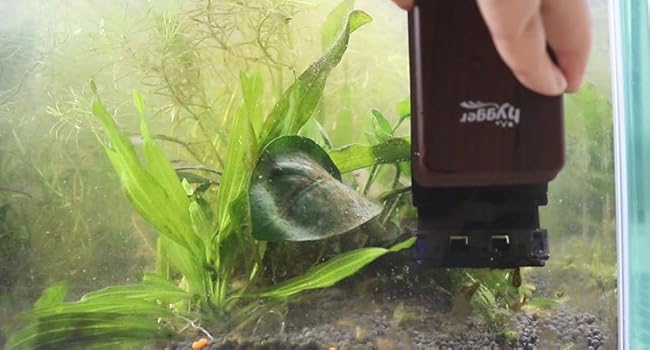 ALGAE SCRAPER FOR AQUARIUM