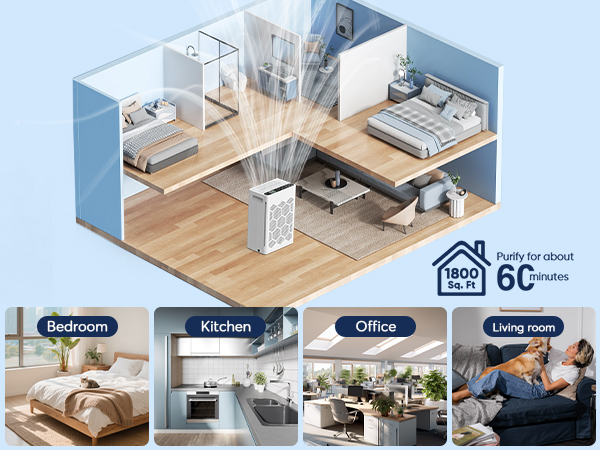 air purifiers for large room