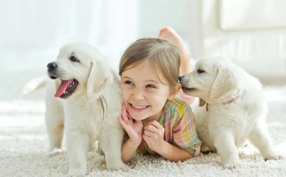 pet