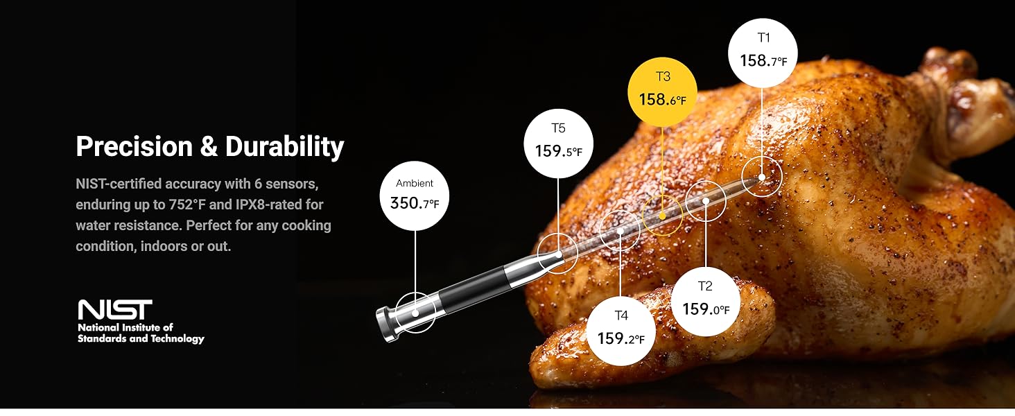 Higher Accuracy Meat Thermometer