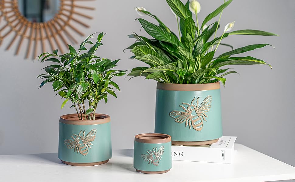 set of 3 terracotta plant pot