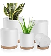 YNNICO Plant Pots with Drainage Holes and Saucers – 7, 6.5, 6, 5, 4 Inch Plastic Planters for Ind...