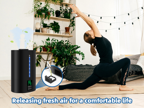 Humidifiers With Essential Oil Diffuser