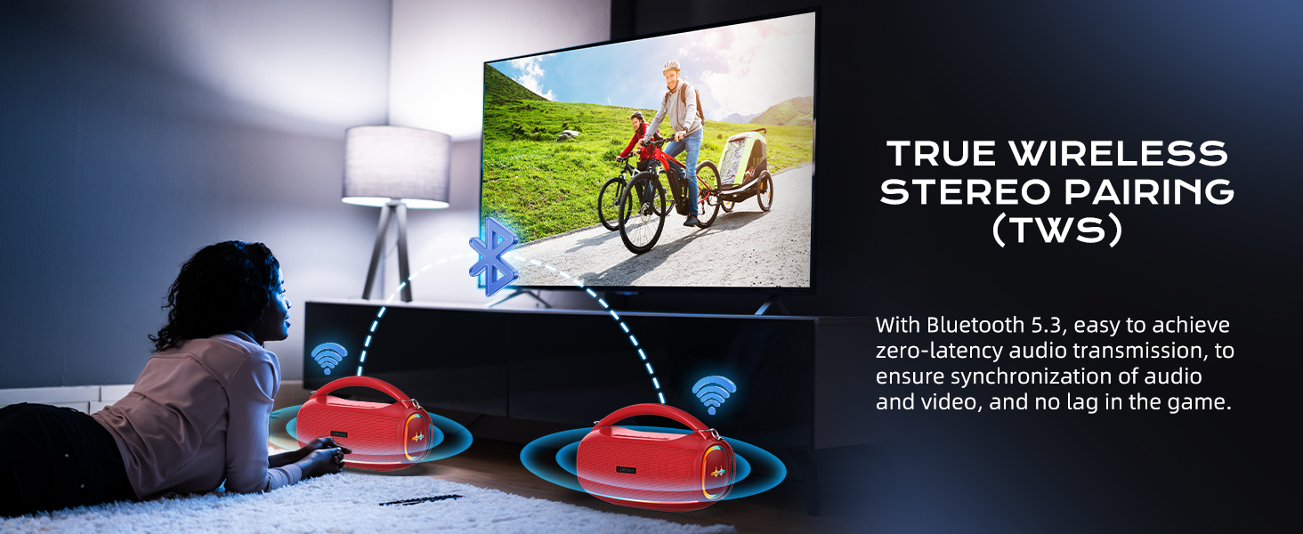 Karaoke Machine for Adults 