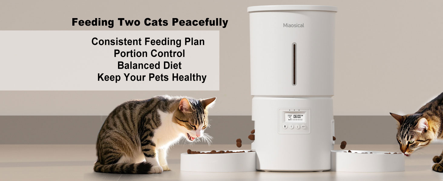 Text reads: 'Feeding Two Cats Peacefully, Consistent Feeding Plan, Portion Control, Balanced Diet, Keep Your Pets Healthy'. Shows two cats eating from bowls beside a white automatic pet feeder device.