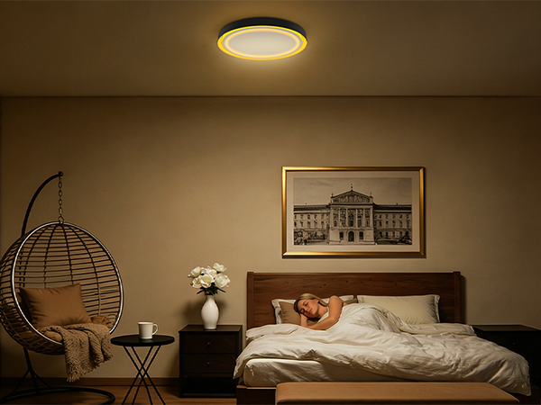 5CCT Flush Mount Ceiling Light with Nightlight
