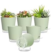 SQKH Plant Pots 4 Inch Self Watering Pots,6 Pack Plastic Planters with Drainage Holes and Clear S...