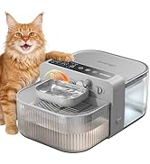 Invengo No-Filter Wireless Cat Water Fountain, 3.5L Stainless Steel Pet Fountain for Cats &amp; Dogs ...