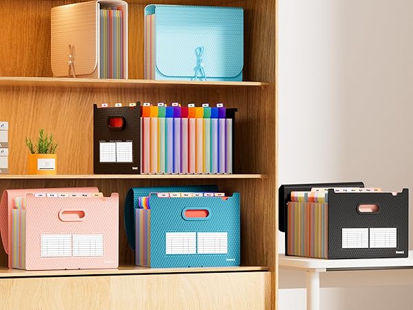accordion file organizer 12 pocket