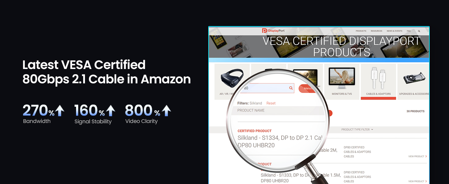 dp80 vesa certified 6.6ft