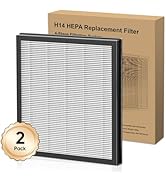 DAYETTE AP303/304 Replacement H14 HEPA Air Purifier Filter, Original Filter