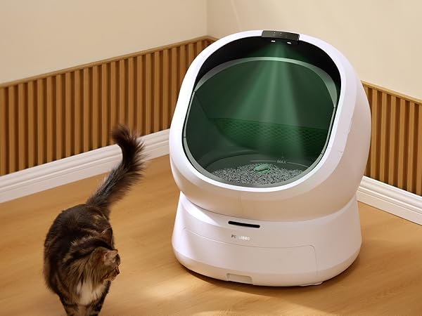 Self Cleaning Cat Litter Box