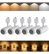 Ajbvp 5Color LED Track Lighting Heads 12W Dimmable,Zoomable Beam15°/24°/36°/45°/60°,2700K/3000K/3...