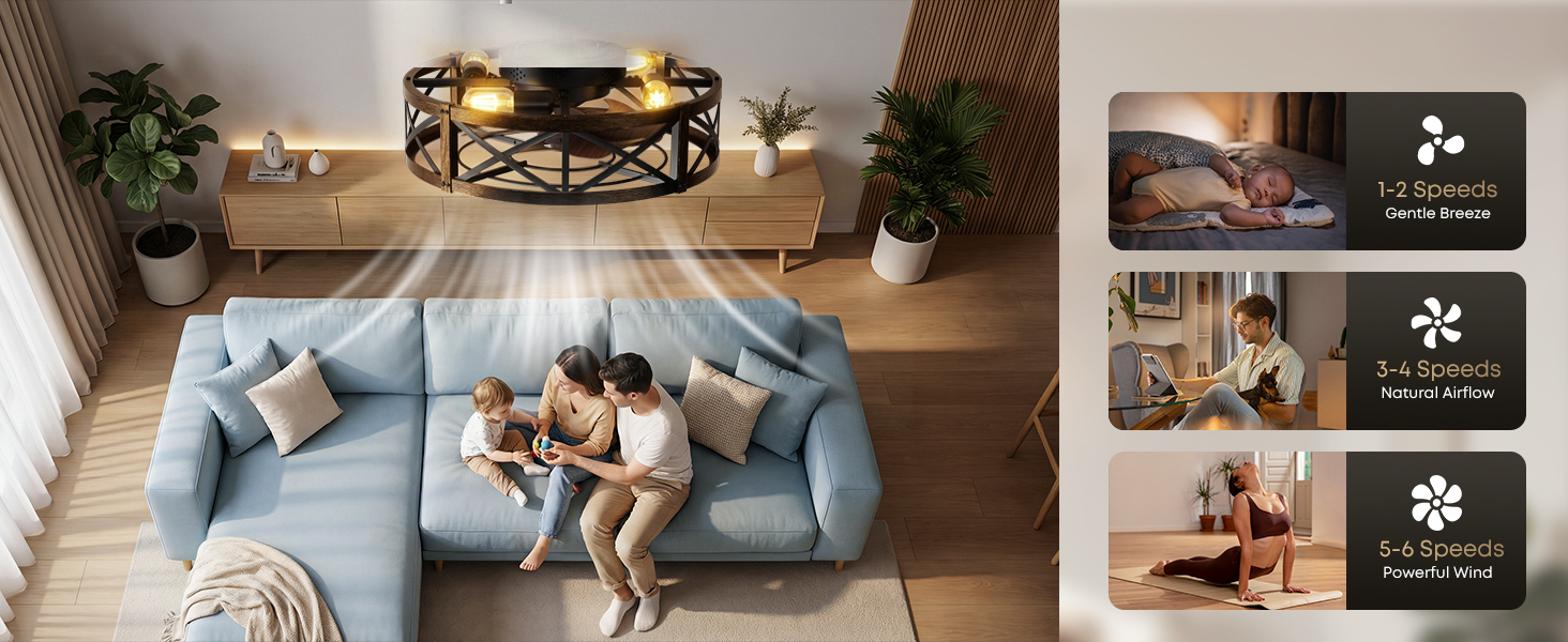 Caged Ceiling Fan with Light and Remote