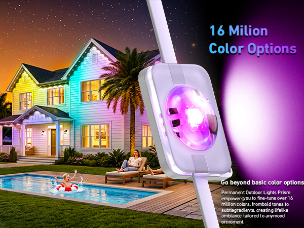 Permanent Outdoor Lights