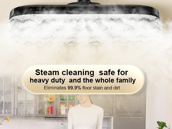 steam cleaner