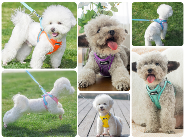AIITLE Summer Soft Dog Harness and Leash Set