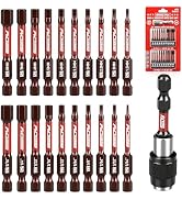 21-Piece 2.5" Hex Head Allen Wrench Drill Bit Set, 1/4" Hex Screwdriver Bits Set with Durable Mag...