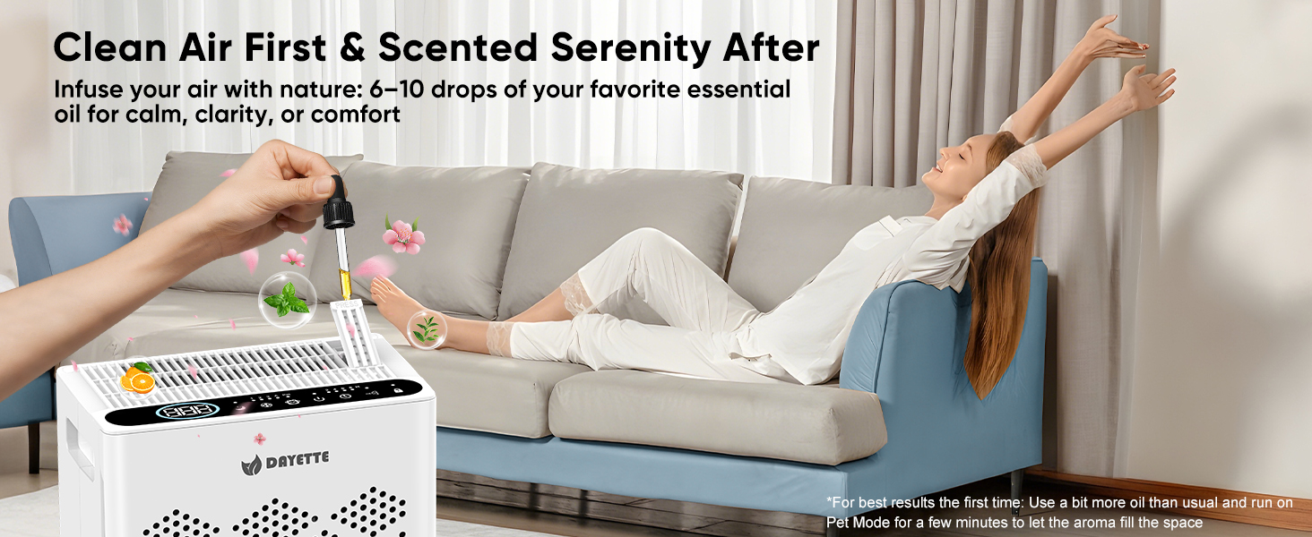 air purifiers for home large room