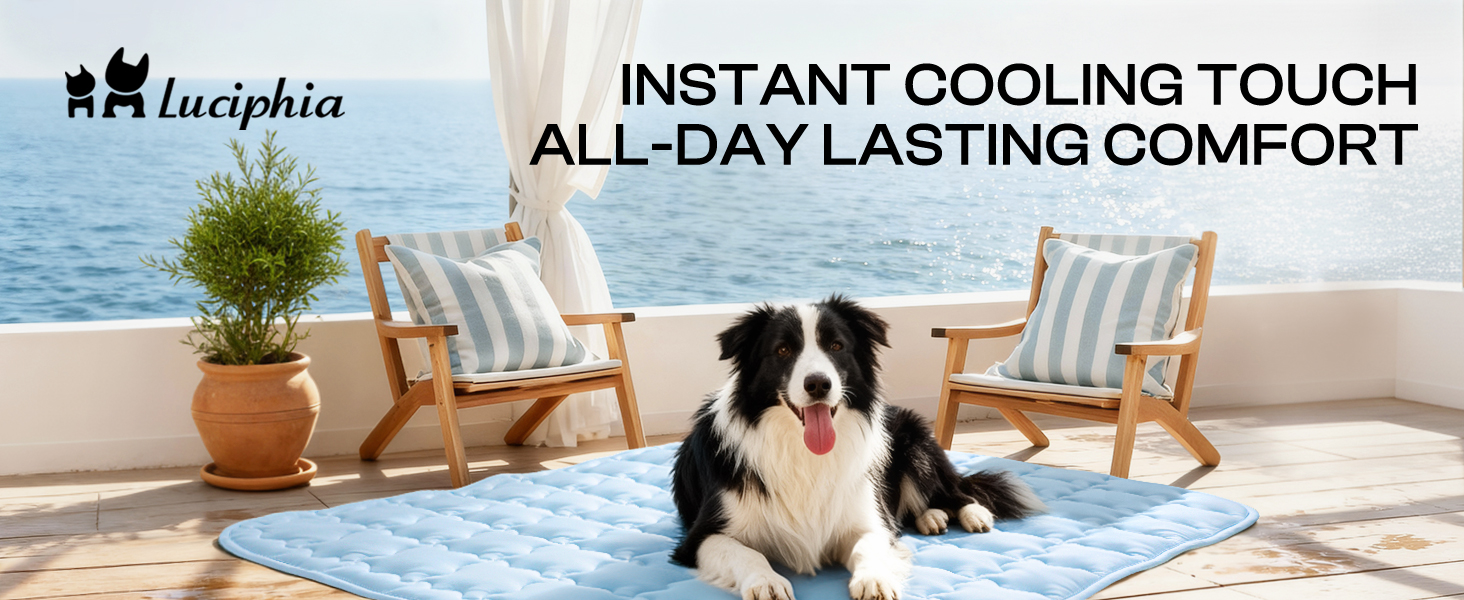 dog cooling mat