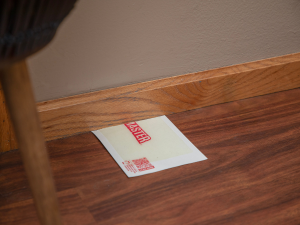 crawling insect XL garage glue board trap
