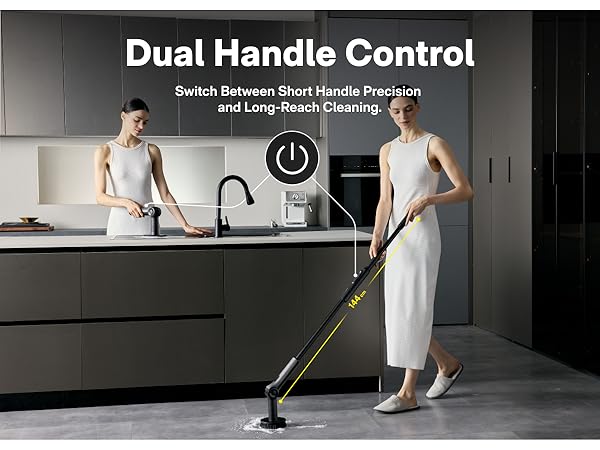 dual handle control