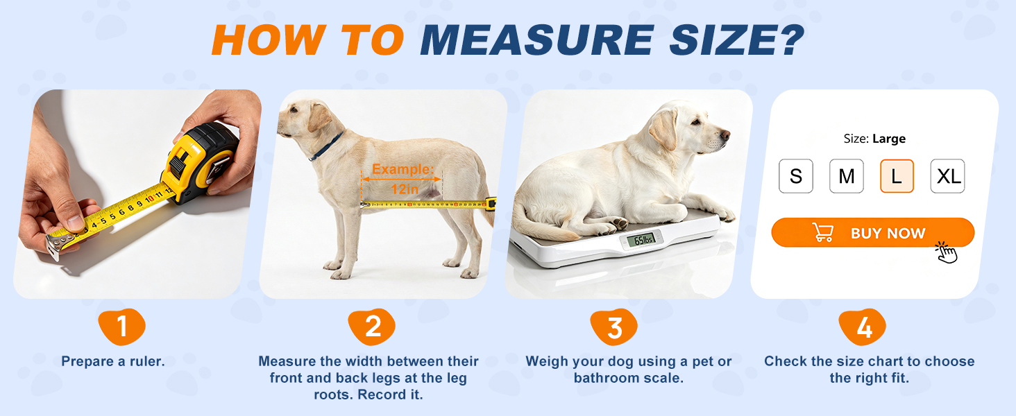 harness medium size dog