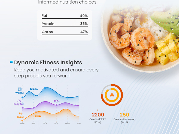 Renpho Smart Scale for Body Weight 500lb, Large Display Weight Scale, Body Fat Scale for BMI Muscle