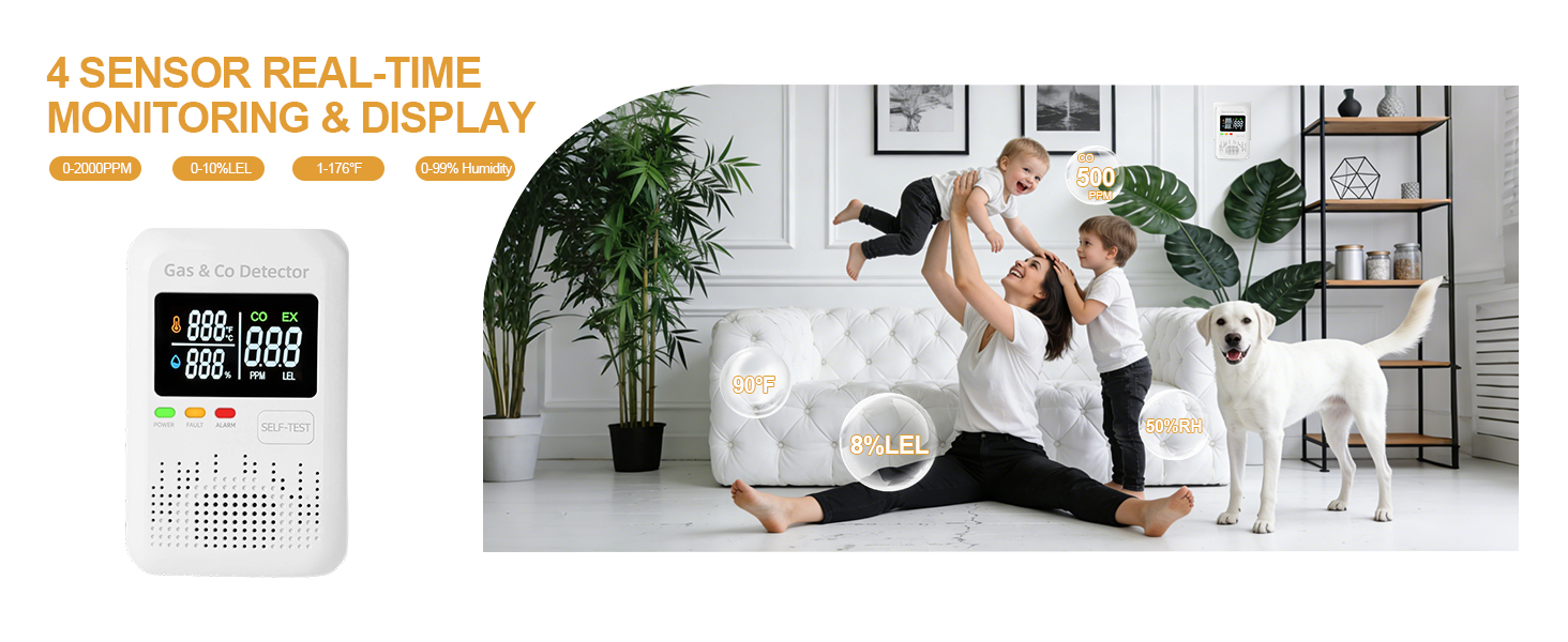 explosive-gas-carbon-monoxide-detectors