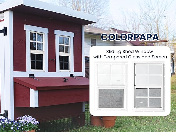 chicken coop window