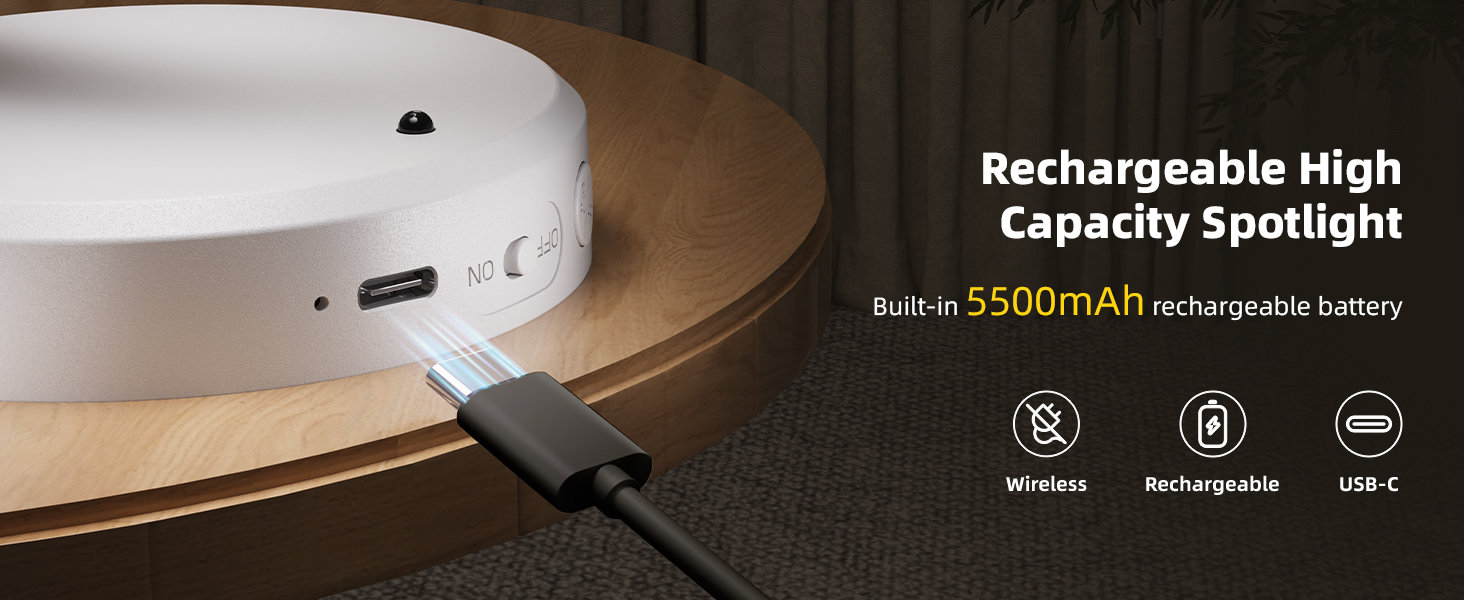 Rechargeable battery plant spotlight indoor