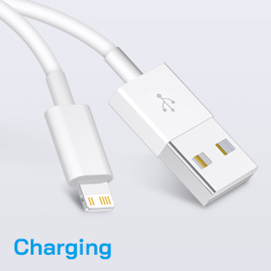 USB-A to Lightning Cable