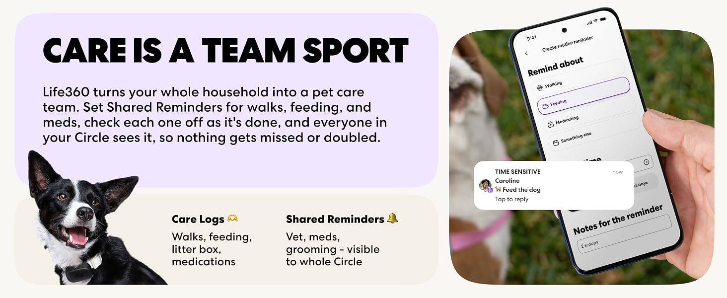 Pet care should be a team sport.
