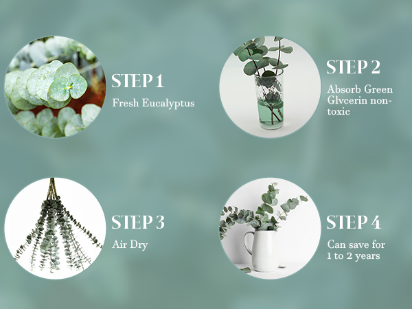 30pcs eucalyptus