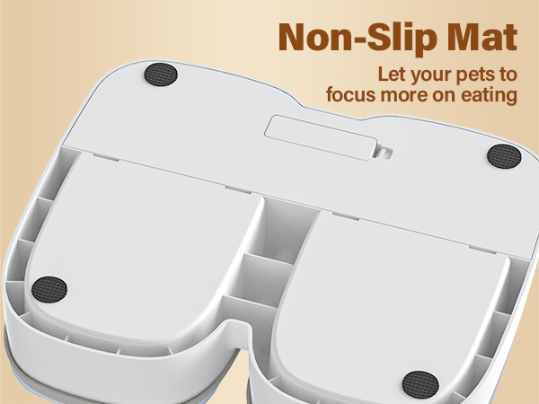 automatic cat feeder