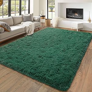 Living Room Decor