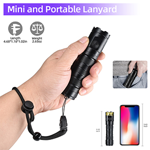 Portable Mini UV Flashlight