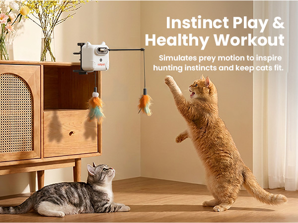 cat toy 611-1