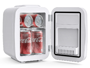 Mini Fridge Small Refrigerator Portable Thermoelectric Cooler and Warmer Fridge