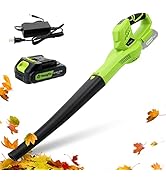 Cordless Leaf Blower, 21V Handheld Electric Leaf Blower with 2.0Ah Battery &amp; Fast Charger, 6 Spee...