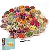 SACATR Dried Flowers, 50 Bags 100% Natural Dried Herbs Kit for Soap Making, Candle, Resin Jewelry...