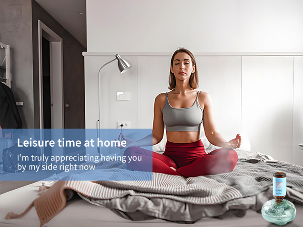 clean air freshener for room