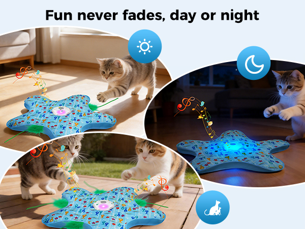 cat toys