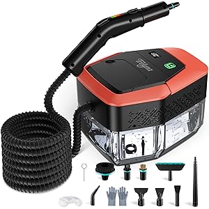 portable steam cleaner