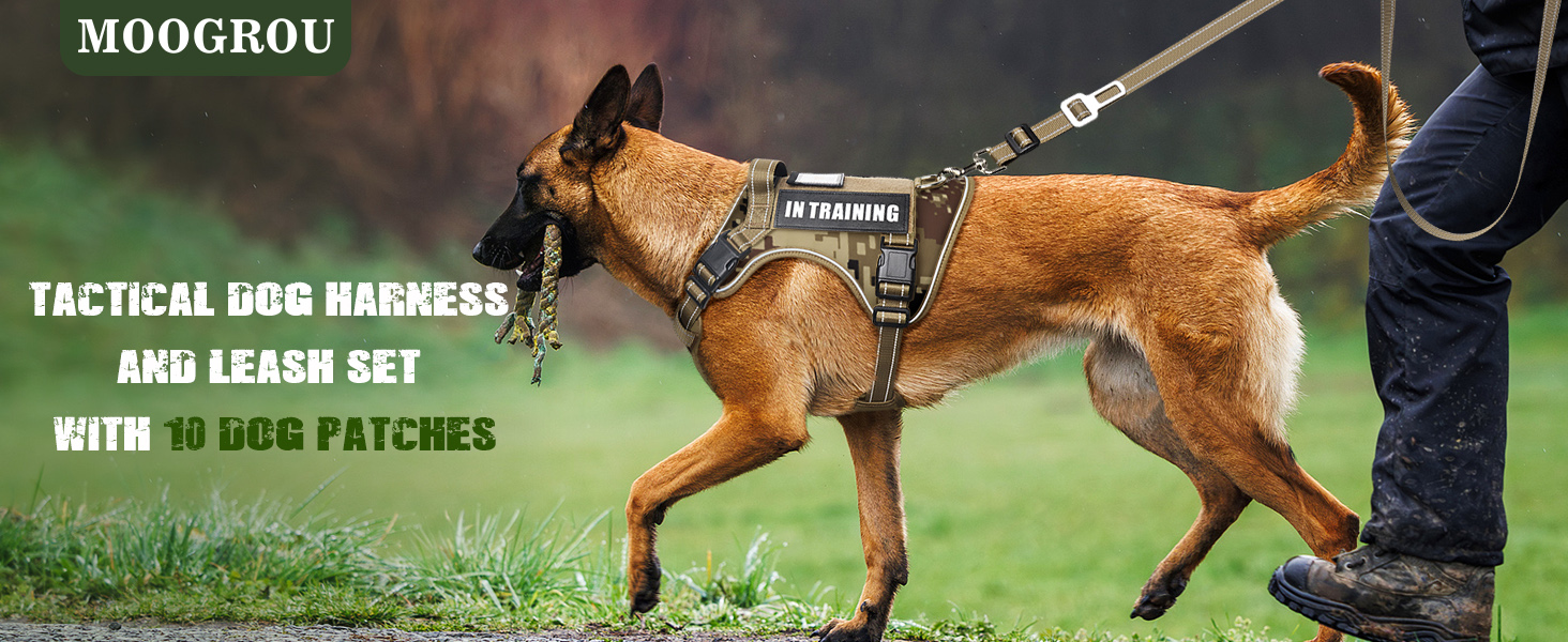 tactical dog harnes set camo
